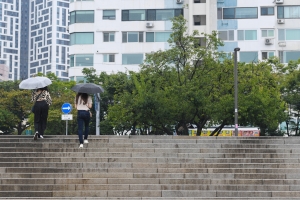 가을비 스케치