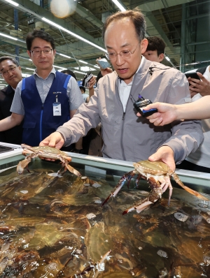 추경호 추석 20대 성수품 물가 상황 점검