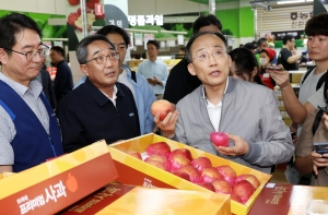 추경호 추석 20대 성수품 물가 상황 점검