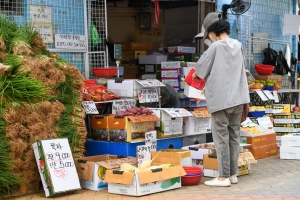 추석 망원시장 스케치