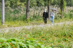 가을 한강공원 스케치