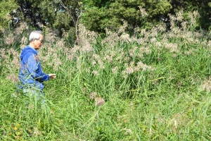 가을 한강공원 스케치