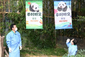 에버랜드 쌍둥이 판다 공개