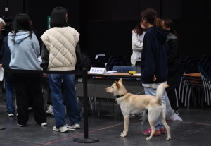 제22대 국회의원 선거, 유권자와 함께 온 반려동물