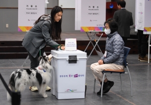 제22대 국회의원 선거, 유권자와 함께 온 반려동물