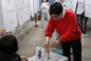 한동훈 비대위원장 사전투표