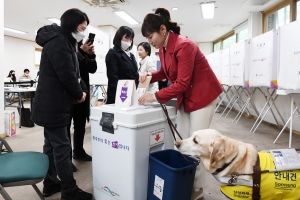 김예지 국민의힘 의원 사전투표