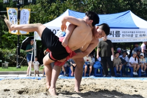사진
