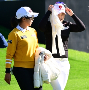 사진