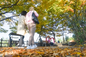 사진