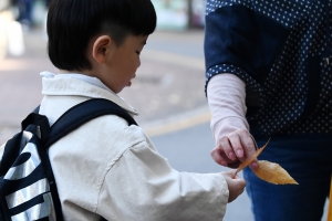 사진