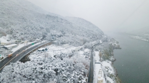 사진