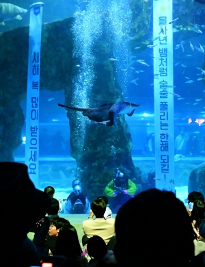 사진