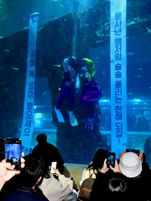 사진