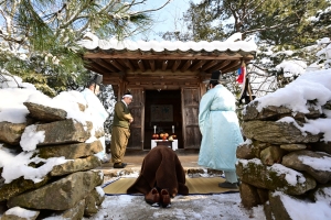 사진