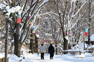 사진