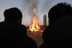 사진