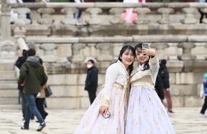 사진