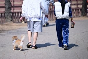 사진