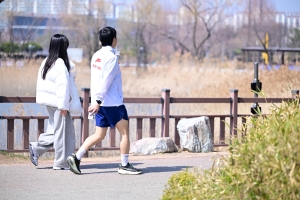 사진