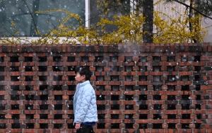 사진