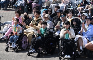 사진