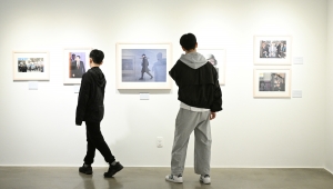 사진