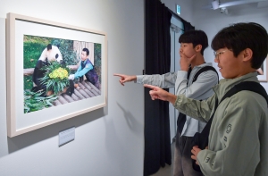 사진
