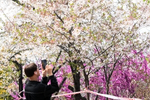 사진