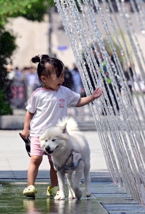 사진