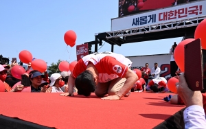 사진