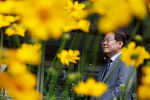 사진