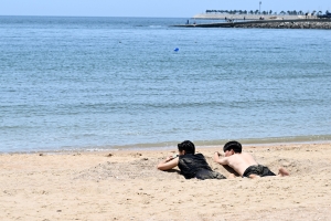 사진