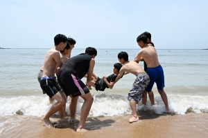 사진