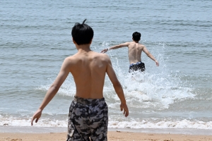 사진