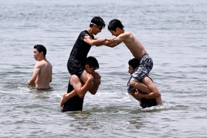 사진
