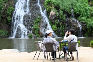 사진