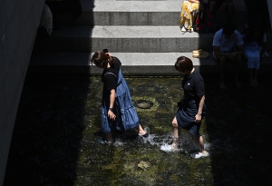 사진