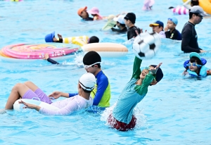 사진