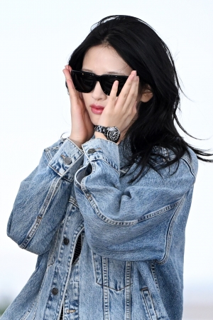 사진