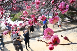 사진