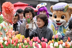 사진