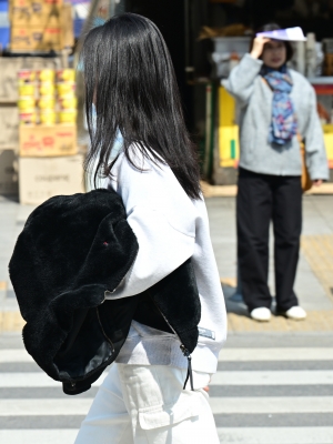 사진