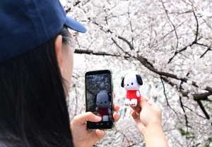 사진