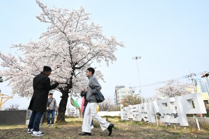 사진