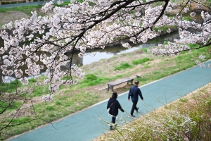 사진