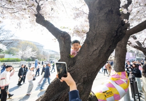 사진