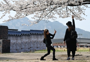 사진