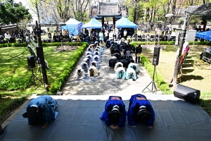 사진