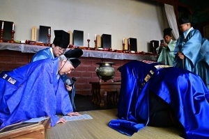 사진